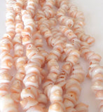 Natural shell beads, whole shell beads, frog shells 16" strand