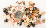 100+ drilled shell beads, small shell beads, natural shell beads