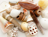 Assorted Shell Beads, Focal Bead, Natural Shell Beads, Shell Sampler Bead Lot