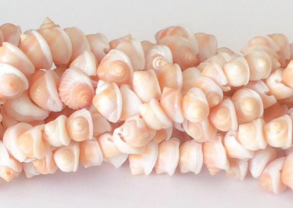 Natural shell beads, whole shell beads, frog shells 16