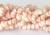 Natural shell beads, whole shell beads, frog shells 16" strand