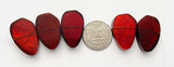 Capiz Focal Shell Beads Red 5pc