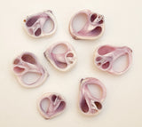Purple Cebu Beauty Sliced Shells-10pc