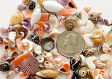 100+ drilled shell beads, small shell beads, natural shell beads