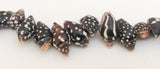 Pyrene Shell Beads, Dotted Shells, Small Drilled Shells