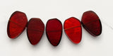 Capiz Focal Shell Beads Red 5pc