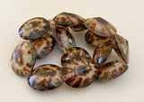 Limpet shell beads natural shell beads 16" strand