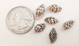 Natural Shell Beads Tiger Nasa Shell-7”strand