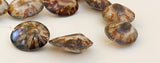 Limpet shell beads natural shell beads 16" strand