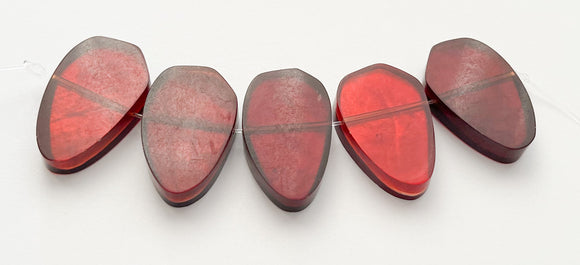 Capiz Focal Shell Beads Red 5pc