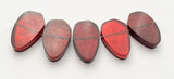 Capiz Focal Shell Beads Red 5pc