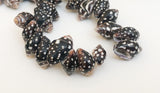 Pyrene Shell Beads, Dotted Shells, Small Drilled Shells