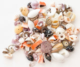 100+ drilled shell beads, small shell beads, natural shell beads