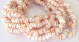 Natural shell beads, whole shell beads, frog shells 16" strand