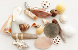 Assorted Shell Beads, Focal Bead, Natural Shell Beads, Shell Sampler Bead Lot