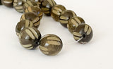 Nut Beads Buri Round Carved 10mm 16" strand Gray