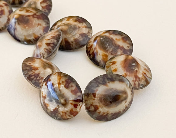 Limpet shell beads natural shell beads 16